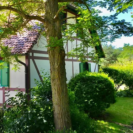 Strandnahe Ruegen * Dranske