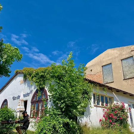 Strandnahe Ruegen Appartement Dranske
