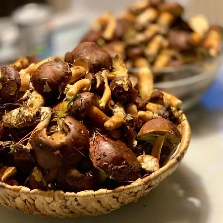 Διαμέρισμα Strandnahe Ruegen